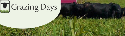 Grazing Days Farm Logo